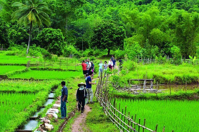 Mai Chau Getaway 1 Day from Hanoi - Small Group - Limousine bus - A Closer Look at the Itinerary