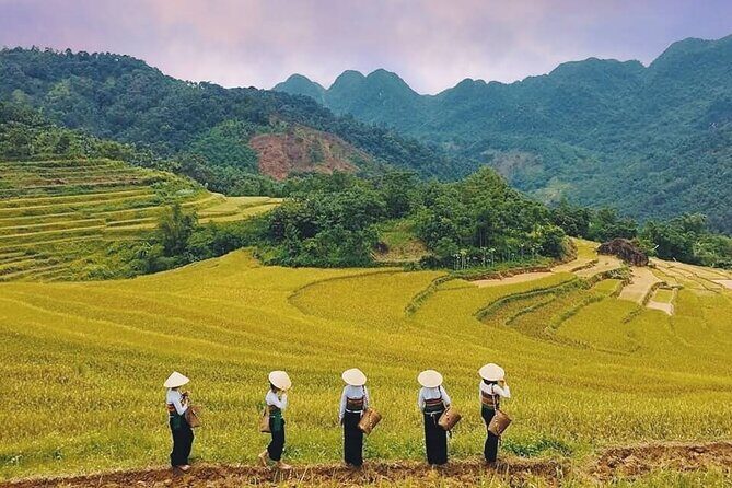 Mai Chau Hidden Treasures with Cycling Culture and Cave Wonders - Trekking and the Chieu Cave Excursion