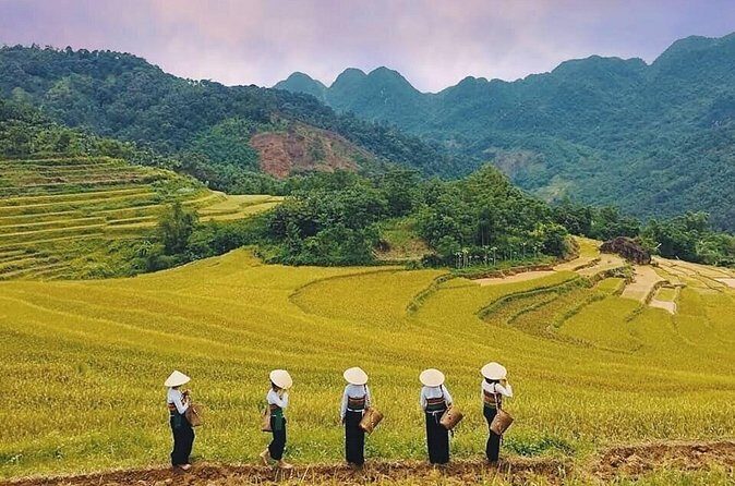 Mai Chau Hidden Treasures with Cycling Culture and Cave Wonders - Who Is This Tour Best For?