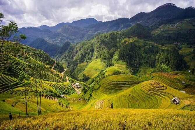 Mai Chau Immersion Cycling Adventures and Handcraft Traditions - A Deep Dive into the Mai Chau Experience
