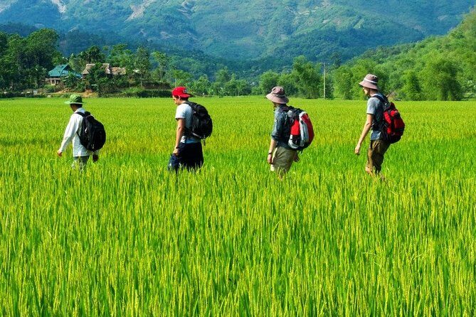 Mai Chau to Pu Luong 3-Day Tour from Hanoi - Key Points