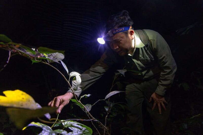 Mai Chau Valley Cycling Hiking To Chieu Cave Tour From Hanoi - Key Points