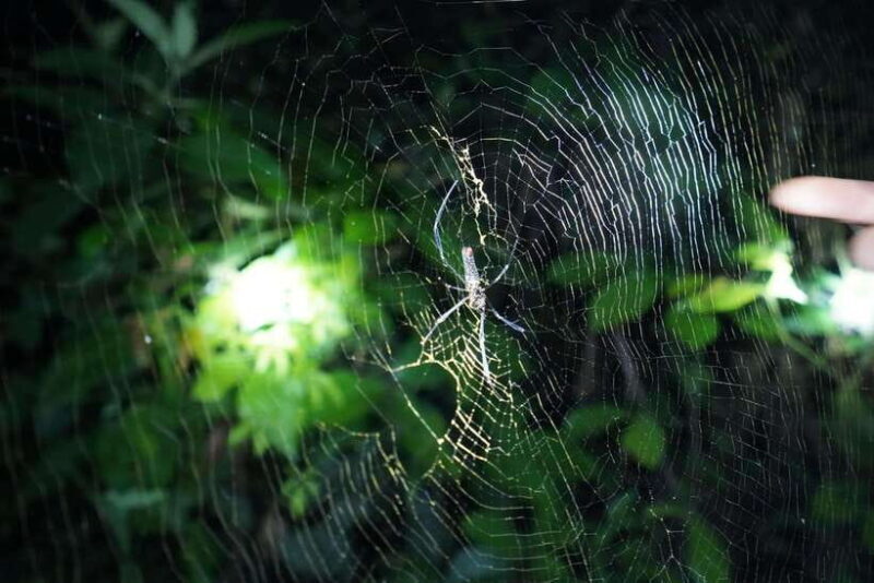 Mai Chau Valley Cycling Hiking To Chieu Cave Tour From Hanoi - Final Thoughts: Who Will Love This Tour?