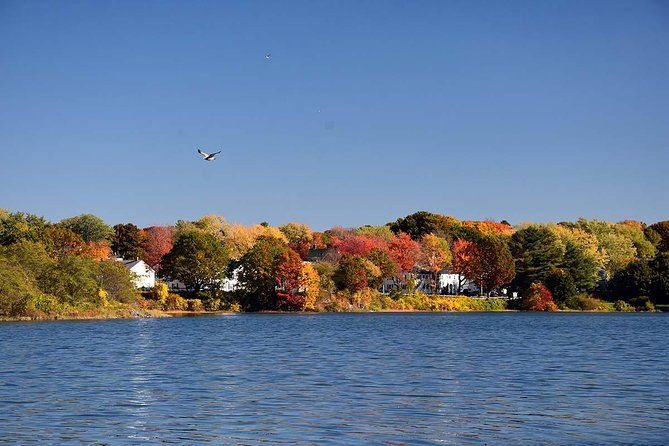 maine-fall-foliage-private-lobster-boat-cruise-with-local-drinks