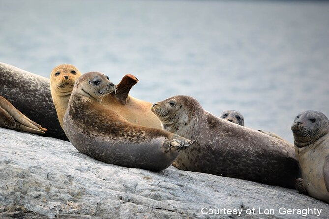 maine-fall-foliage-private-lobster-boat-cruise-with-local-drinks