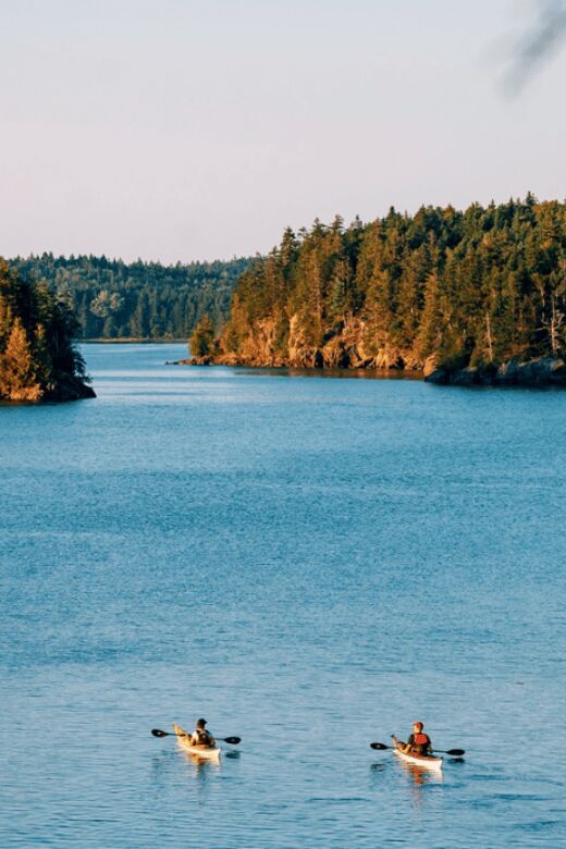 Maine: Full or Half-Day Single Kayak Rental - What Travelers Can Expect on the Water