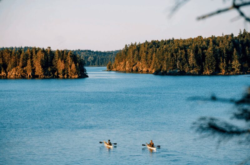 Maine: Half-Day Double Kayak Rental - Practical Tips for Your Kayaking Day