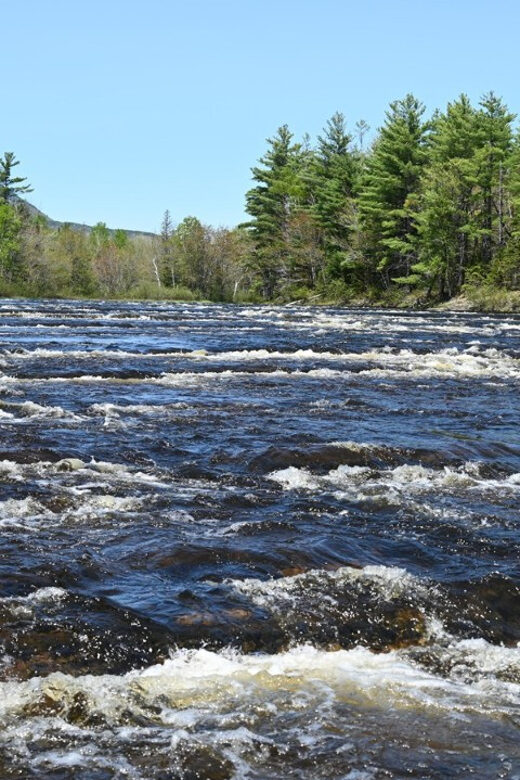 Maine: Penobscot Downriver Boat Rides - An Overview of the Penobscot Downriver Boat Ride