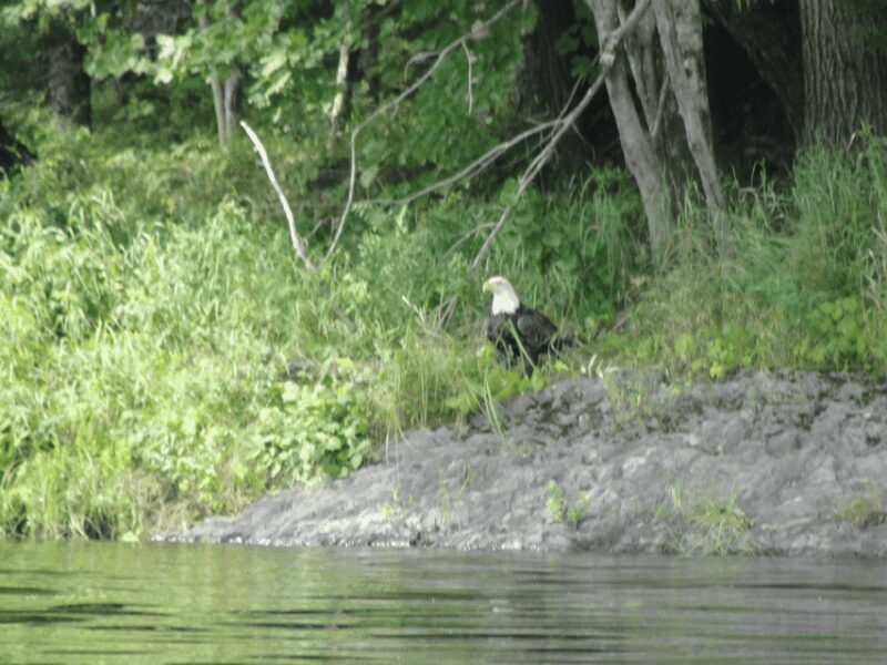 Maine: Penobscot Downriver Boat Rides - What’s Not Included & Considerations