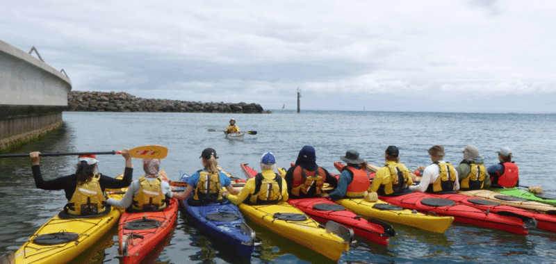 maine-penobscot-river-guided-kayaking-tour