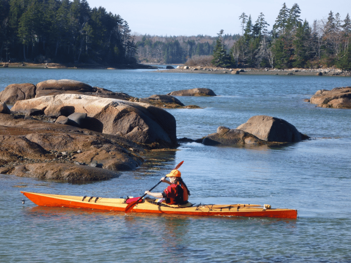 maine-penobscot-river-guided-kayaking-tour