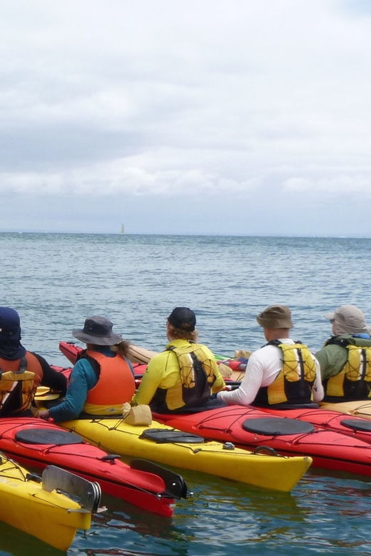 maine-penobscot-river-guided-kayaking-tour