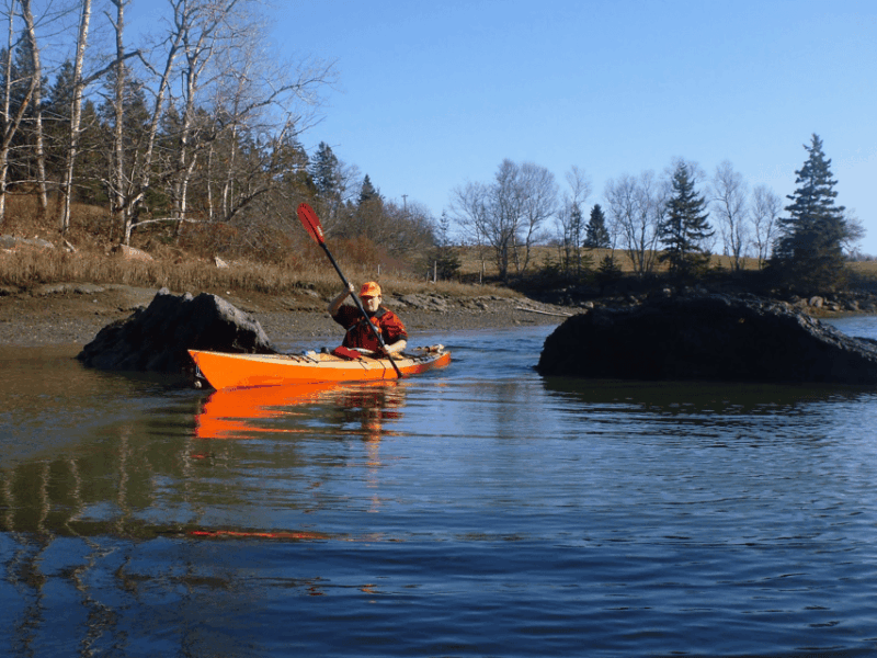 maine-penobscot-river-guided-kayaking-tour