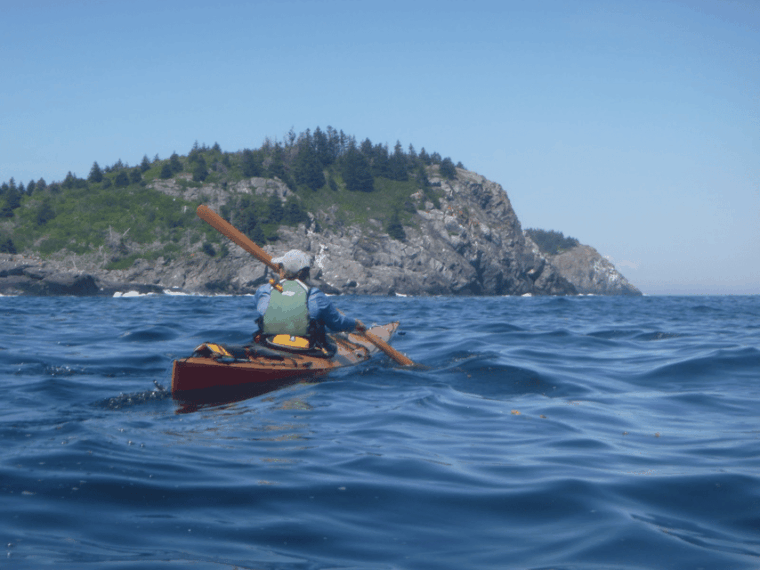 maine-penobscot-river-guided-kayaking-tour