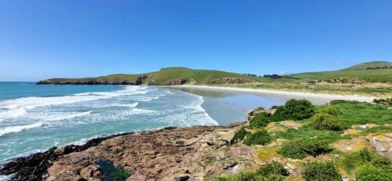 Mainland & Otago Peninsula Tour - Frequently Asked Questions (FAQs)