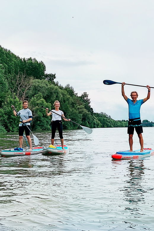 mainz-stand-up-paddling-tour-on-the-rhine-river