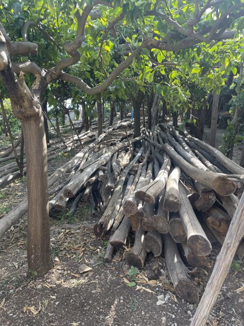maiori-amalfi-coast-path-of-lemons-day-trip-with-tastings
