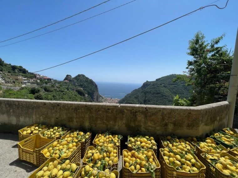maiori-amalfi-coast-path-of-lemons-day-trip-with-tastings