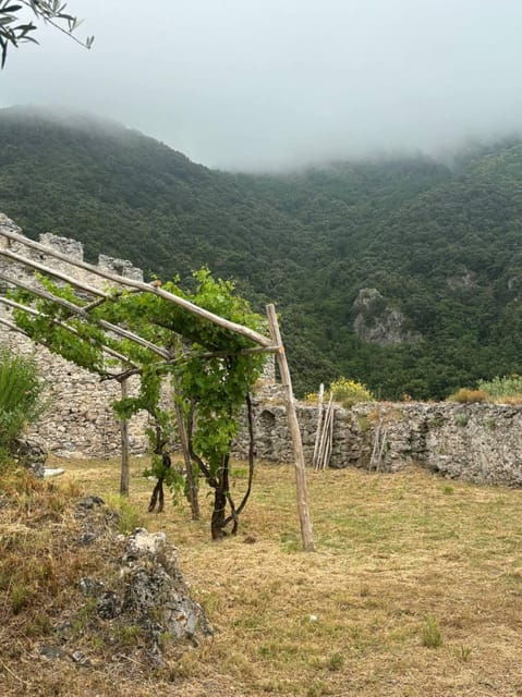 maiori-guided-visit-to-the-thoro-plano-castle-and-tastings