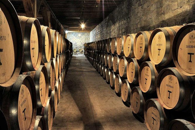 maipo-valley-experience