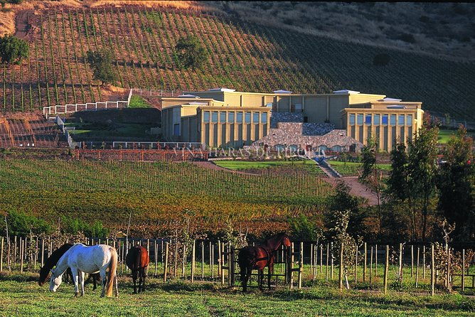 maipo-valley-experience