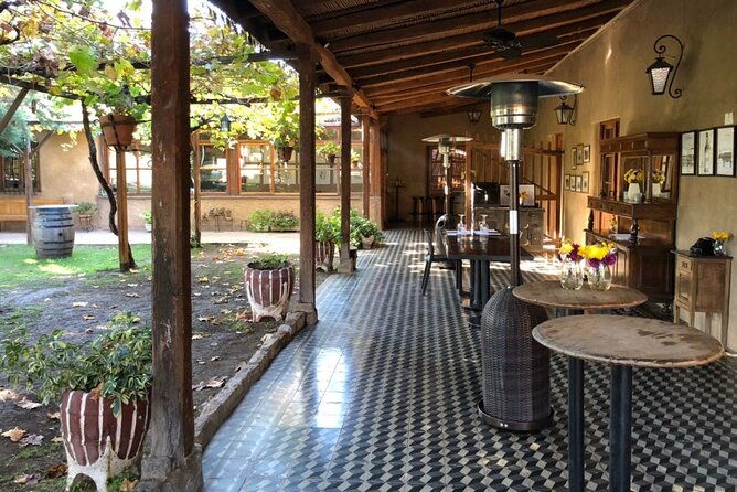 maipu-wine-and-olive-oil-tour