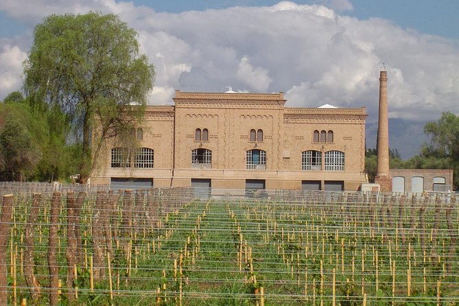 maipu-wine-tasting-tour-from-mendoza-including-trapiche-winery