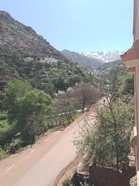 Majestic Atlas Mountains: A private Journey Beyond Marrakech - The Sum Up: Is This Tour Right for You?