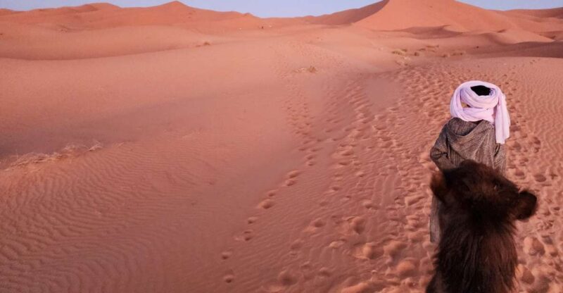 Majestic Desert: 3-Day Luxury Journey from Marrakech to Fes - Authenticity and Comfort