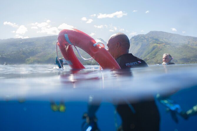 Majestic Encounter Respectful Whale Watching - The Experience in Detail: What Really Sets It Apart