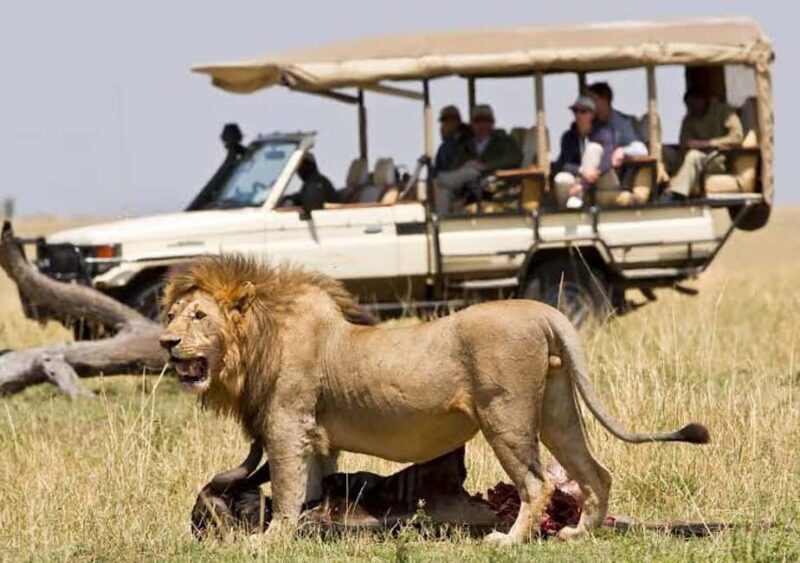 Majestic landscapes: A 5day Safari Adventure - Exploring the Itinerary in Detail