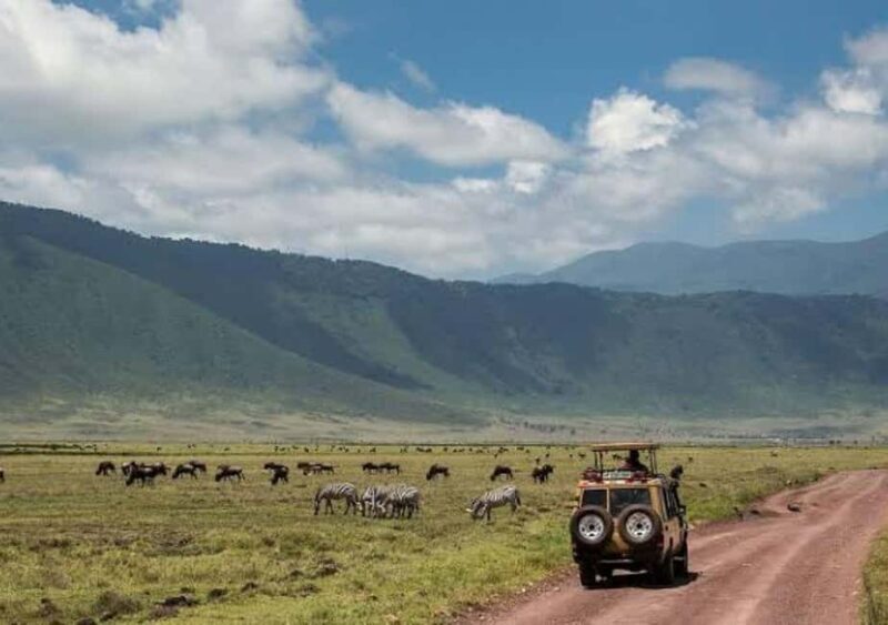 Majestic landscapes: A 5day Safari Adventure - FAQ