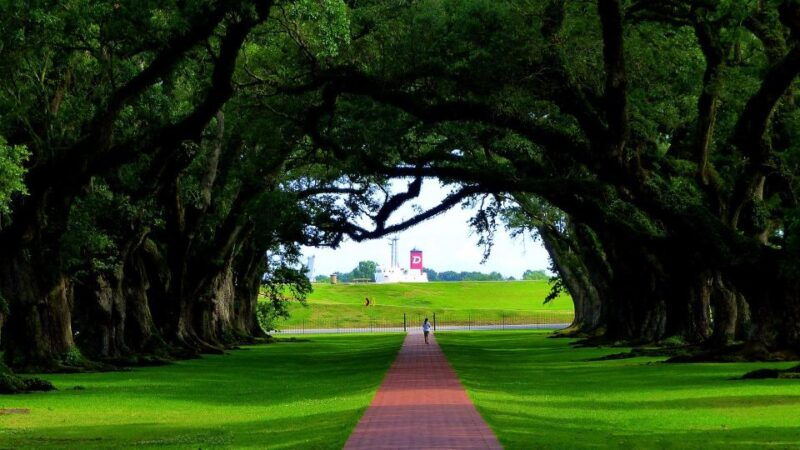 majestic-oak-alley-plantation-tour-2