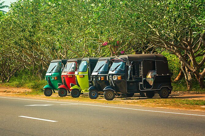 Majestic Sri Lanka in 13 Days All Inclusive VIP Tour by Sithiyam - The Sum Up: Is This Tour for You?