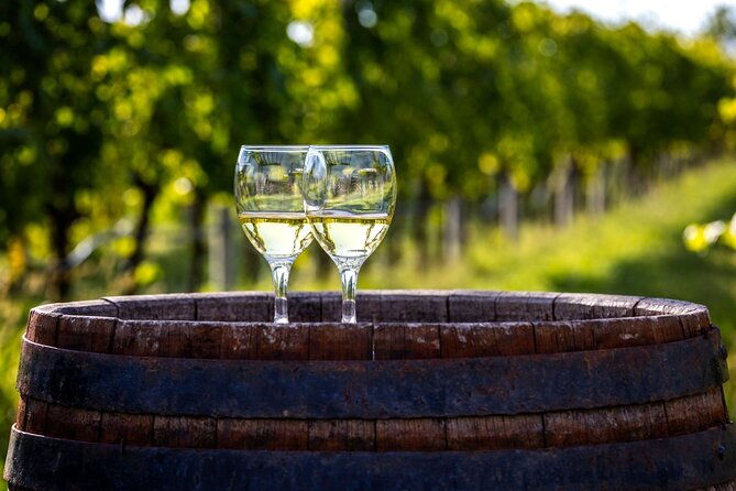 majorca-winery-visit-with-wine-local-food-tasting-from-east