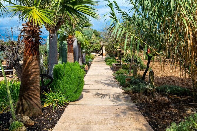majorca-winery-visit-with-wine-local-food-tasting-from-east
