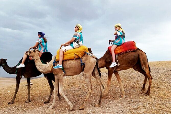 Majorel garden with lunch and camel ride Experience in Agafay - Overview of the Tour Experience
