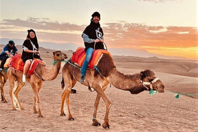 Majorel garden with lunch and camel ride Experience in Agafay - Detailed Breakdown of the Itinerary
