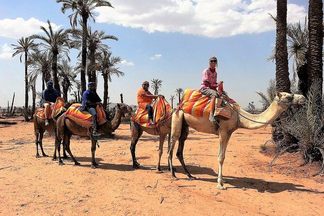 Majorelle Garden and Camel Ride Tour from Marrakech - Frequently Asked Questions
