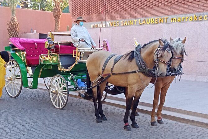 Majorelle-Menara garden & the Yves Saint Laurent museum Horse carriage tours - The Experience in Detail