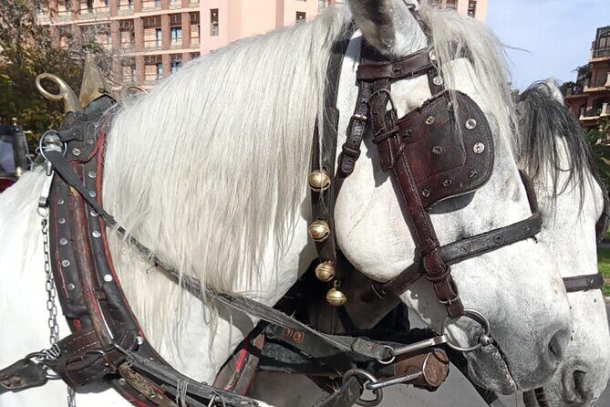 Majorelle-Menara garden & the Yves Saint Laurent museum Horse carriage tours - The Sum Up: Who Will Love This Tour?