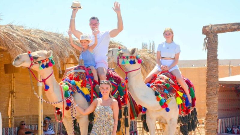 Makadi Bay: BADU Flavors Lunch, Camel and Bedouin Party - Key Points