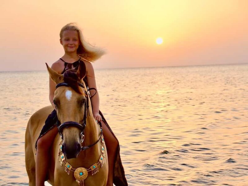 Makadi Bay: Horse Riding in Desert & Sea w Guide + Transfers - Practical Tips for Your Horseback Ride