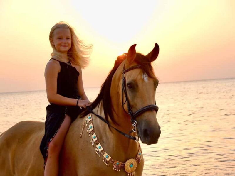 Makadi Bay: Horse Riding in Desert & Sea w Guide + Transfers - The Sum Up