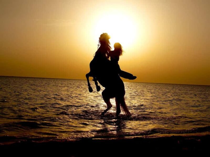 Makadi Bay: Horse Riding in Desert & Sea w Guide + Transfers - FAQ
