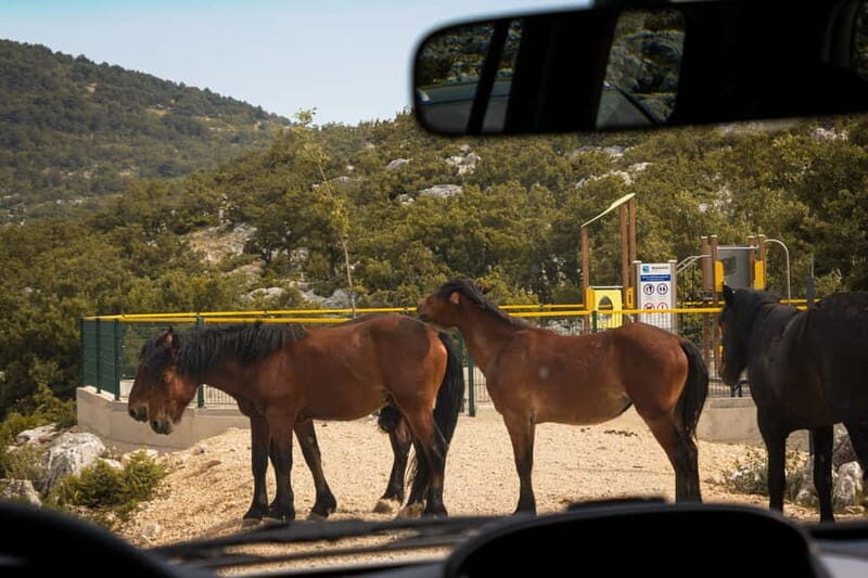 Makarska: Biokovo Skywalk 4X4 Tour: Ultimate Mountain Views - The Sum Up