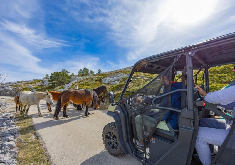 makarska-buggy-skywalk-biokovo-tour