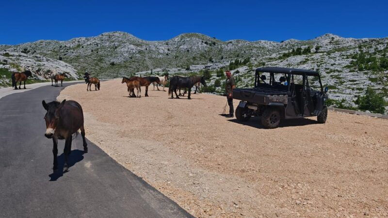 makarska-buggy-skywalk-biokovo-tour