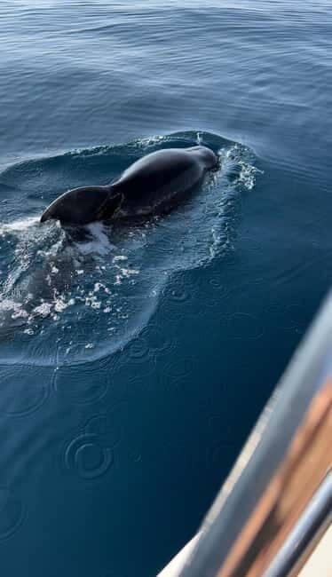 Makarska: Private halfday boat tour ,Hvar,small blue Cave - Key Points