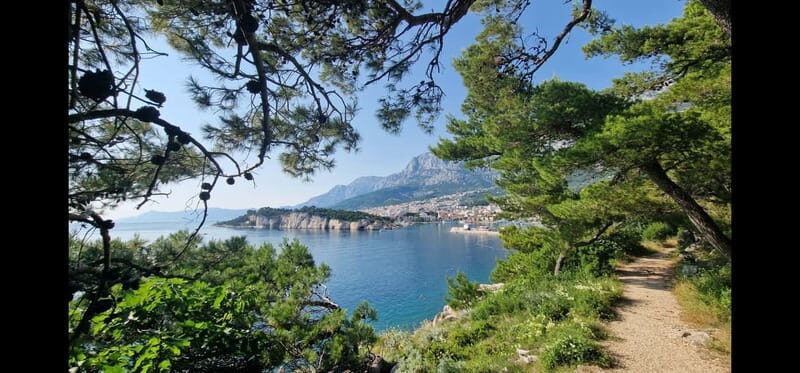Makarska: Scenic Coastal Hike & Swim Tour - Why This Tour Offers Great Value